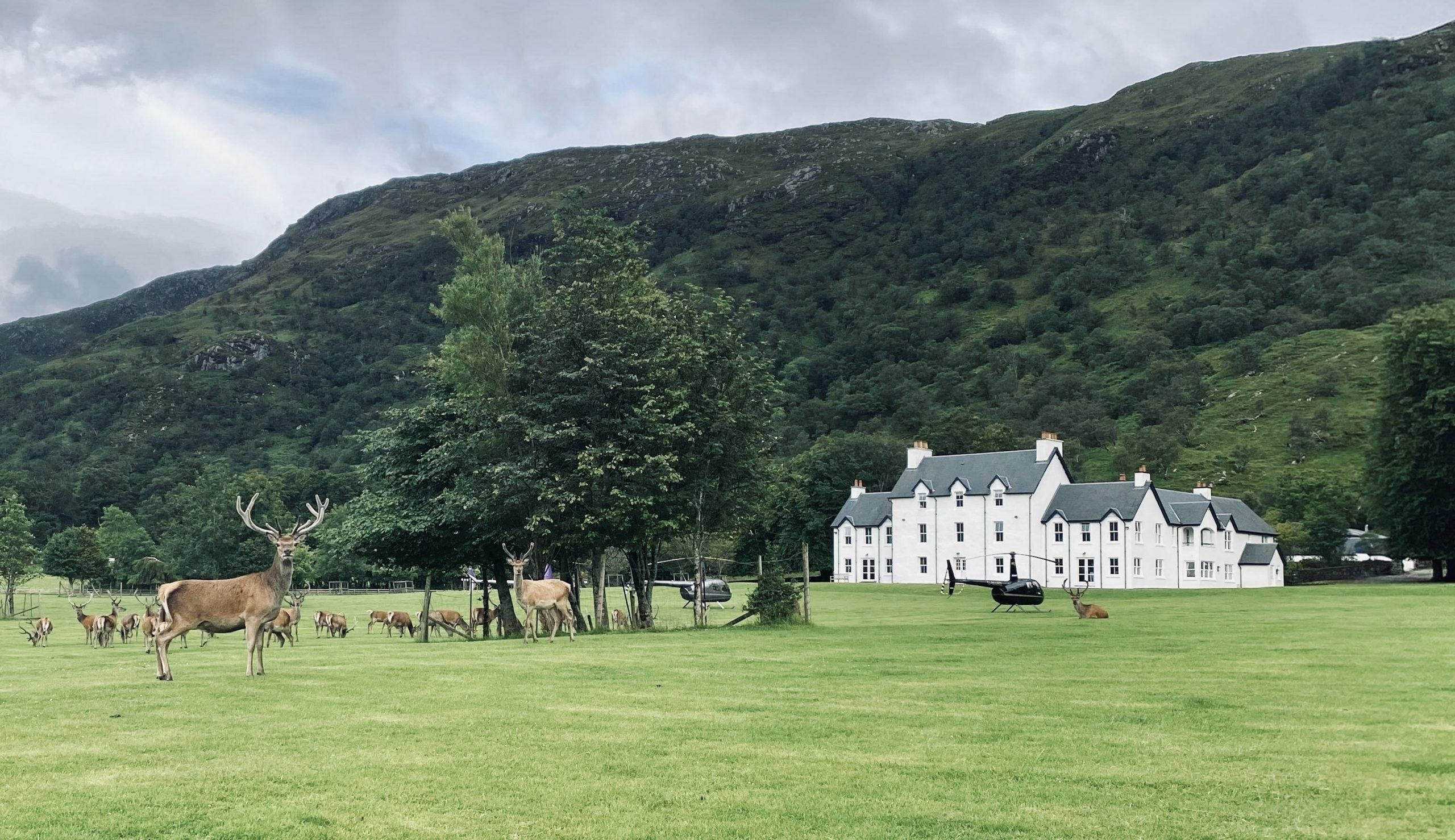 88968EE3-7000-43EB-873A-F2FAE2C3CFCA_1_201_a